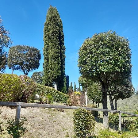Villetta Dei Lecci Castelfiorentino Eksteriør billede