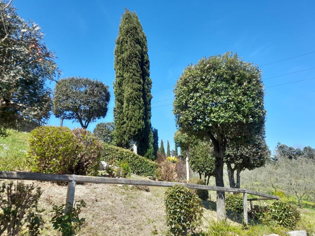 Villetta Dei Lecci Castelfiorentino Eksteriør billede